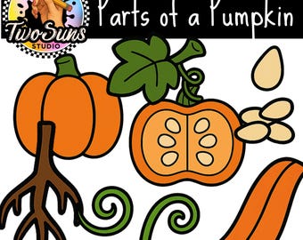 Parts of a Pumpkin Clipart PNG | 8 Cute Pumpkin Illustrations | 3000x3000px Transparent Background | Classroom Clipart | Commercial Use OK