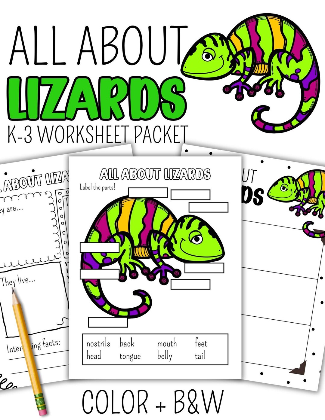 All About Lizards | Animal Research Worksheets & Labeling | Life ...