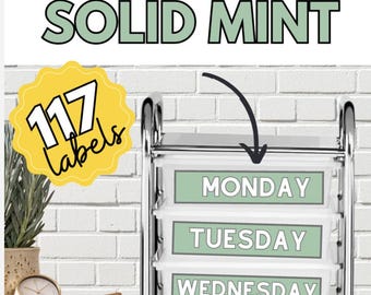 117 Mint Rolling Cart Labels for Classrooms & Blank Labels to Customize, Classroom Organization and Labels