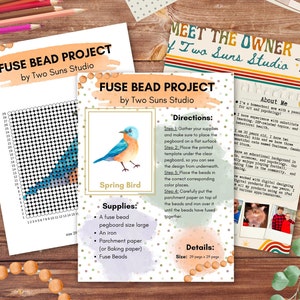 Bird Fuse Bead Pattern: Large Arts & Crafts Project (29x29 Pegs)