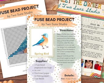 Bird Fuse Bead Pattern, Arts and Crafts, Art Project, Size Large, 29 Pegs x 29 Pegs