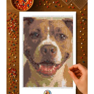 May include: A pixel art portrait of a dog, primarily brown, white, and tan, created with small, colorful beads. The artwork is on a white sheet, with a wooden bowl and scattered beads around it. The Two Suns logo is visible.