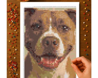 Friendly Pitty Super Fuse Bead Pattern – Printed 11x17 Pattern | SUPER Perler Board Size | 49x69 Pegboard Grid | Free Shipping