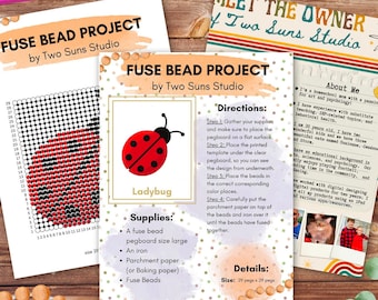 Lady Bug Fuse Bead Pattern, Arts and Crafts, Art Project, Size Large, 29 Pegs x 29 Pegs