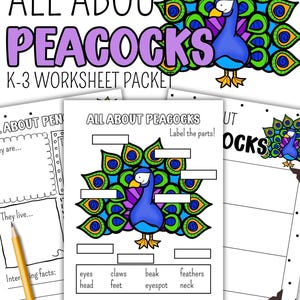 May include: A worksheet packet titled "ALL ABOUT PEACOCKS" for K-3 students. The cover features a colorful peacock illustration. The packet includes pages for labeling peacock parts and writing facts. The words "COLOR + B&W" are at the bottom.