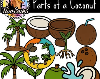 Parts of a Coconut Clipart PNG | 11 Cute Coconut Illustrations | 3000x3000px Transparent Background | Classroom Clipart | Commercial Use OK