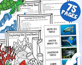 Ocean Unit for 1st Grade PDF | 75 Pages with Answer Key | CCSS Aligned | Print or Use Digitally | Layers of the Ocean & Sea Creatures