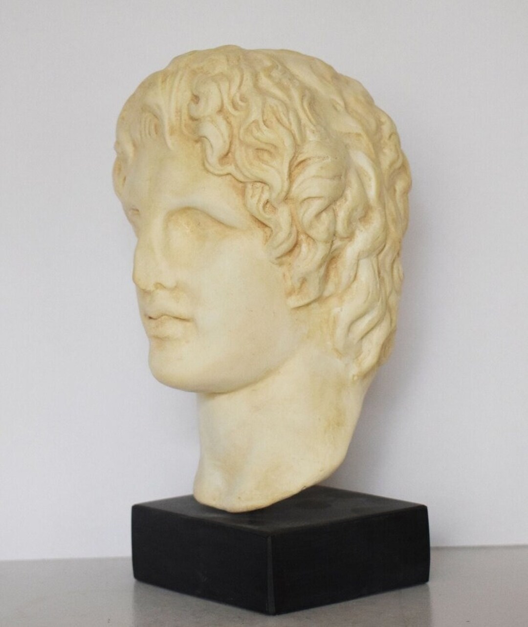 Alexander the Great Bust Ancient Macedonian Ruler Who Established the