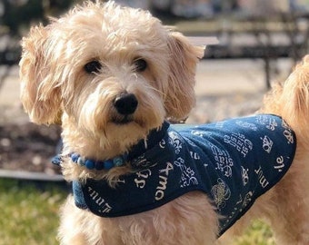 Denim Dog Coat -  Dark Blue, Stylish Spring Dog Coat, LOVE Metallic Embossed in 3 Different Languages, Removable Hood + Leash Hole!