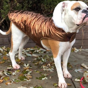 Denim and Lace Swarovski Studded Luxury Dog Harness