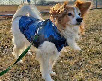 Waterproof Metallic Blue Dog Raincoat, Removable Hood + Leash Hole, Lightweight Puppy Rain Jacket, XXS–XXL