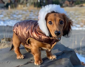 Winter Dog Jacket | 4 Metallic Colors, Waterproof Fleece Lined Puffer Coat with Leash Hole & Removable Hood,  XXS-XXL