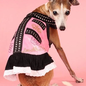 Canine Couture: The Most Luxurious Dresses Ever Made For Dogs – Marc Petite