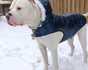 Metallic Blue Waterproof Dog Jacket – Fleece Lined Puffer Coat, Removable Hood, Leash Hole (XXS–XXL)