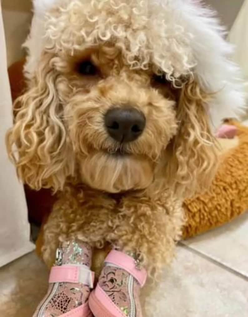 Dog Boots That Stay On – Waterproof Non-Slip Dog Shoes, Pink Camo Paw Protection Booties (Set of 4, XXS-L) image 5