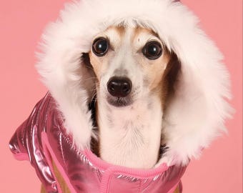 Metallic Pink Winter Dog Jacket | Waterproof Fleece Lined Puffer with Leash Hole and Removable Hood (XXS–XXL)