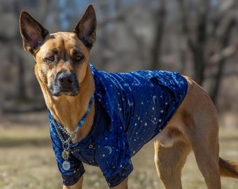 Suéter con capucha de terciopelo azul para perro: pijama de invierno acogedor, suave y cálido, tallas XXS-XXL