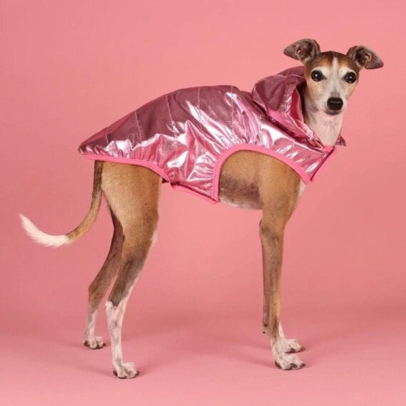 Pink Dog Raincoat Waterproof 