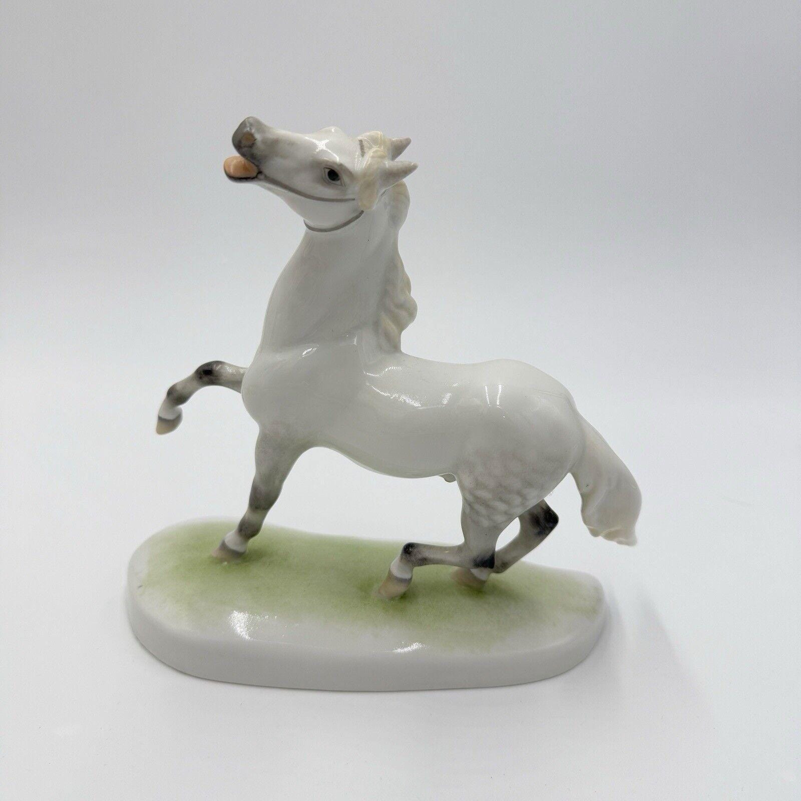 Lipizzaner stallion - Etsy 日本
