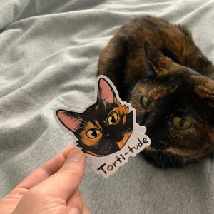 Puede incluir: Una pegatina con la cara de un gato con el texto "Torti-tude" sobre un fondo blanco. La pegatina se est&aacute; mostrando a un gato atigrado.