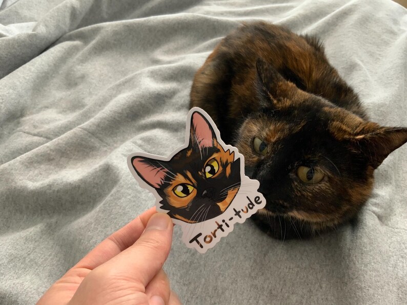 Puede incluir: Una pegatina con la cara de un gato con el texto "Torti-tude" sobre un fondo blanco. La pegatina se est&aacute; mostrando a un gato atigrado.