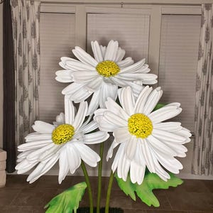 May include: Three large white daisies with yellow centers. The flowers are arranged in a bouquet and have green leaves.
