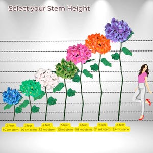 May include: A chart showing different stem heights for artificial hydrangea flowers. The stems are shown in various lengths from 2 feet to 8 feet, with corresponding measurements in inches and centimeters. The flowers are shown in different colors, including blue, green, white, pink, orange, and purple.