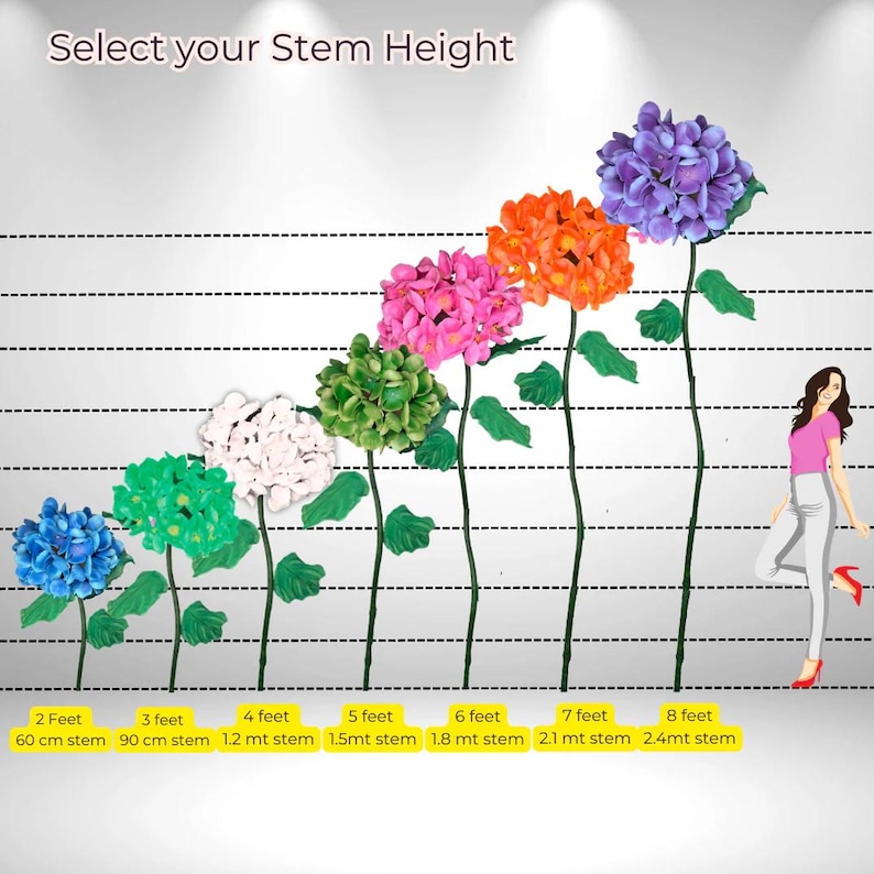 May include: A chart showing different stem heights for artificial hydrangea flowers. The stems are shown in various lengths from 2 feet to 8 feet, with corresponding measurements in inches and centimeters. The flowers are shown in different colors, including blue, green, white, pink, orange, and purple.