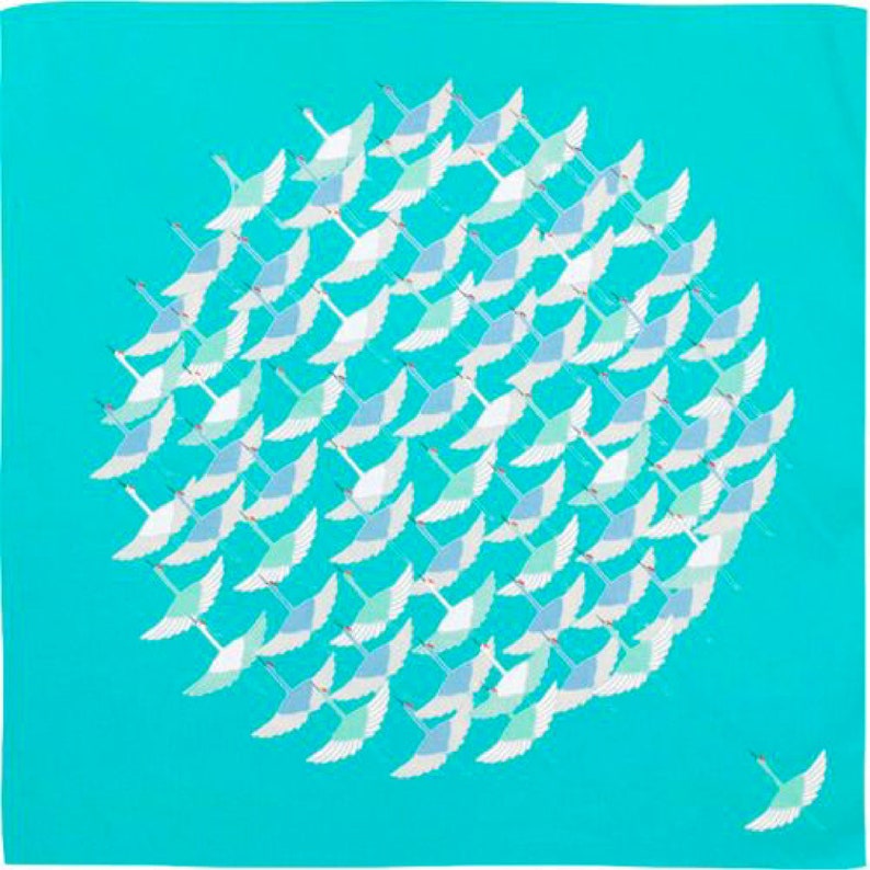 May include: A turquoise blue square background with a circle of white birds with blue and green wings flying in a circular pattern. One bird is flying off to the right side of the image.