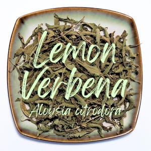 Lemon Verbena - Aloysia citrodora - Dried Beebrush Fragrant Lemon Scented Bulk Herbs for Tea / Candles / Soap / DIY Crafts / Organic Edible