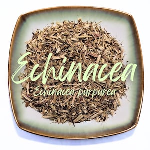 Echinacea Organic Dried Herb - Echinacea purpurea - Natural Remedy - Cut Coneflower Heads Edible Medicinal Plant Apothecary Wicca