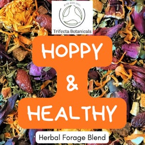 HOPPY & HEALTHY ~ Herbal Forage Mix for Overall Health ~ Natural Organic Hay Topper ~ Healthy Pet Food Treats for Bunny Rabbits Guinea Pigs