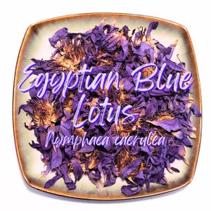 Egyptian Blue Lotus Whole Flowers - Nymphaea caerulea - Sacred Blue Lily Natural Organic Herb for Tea Soap Candles - CHOOSE 1/4 oz - 1 lb