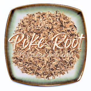 Poke Root - Phytolacca americana - Organic Natural Dried Root Medicinal Tea Apothecary Wicca