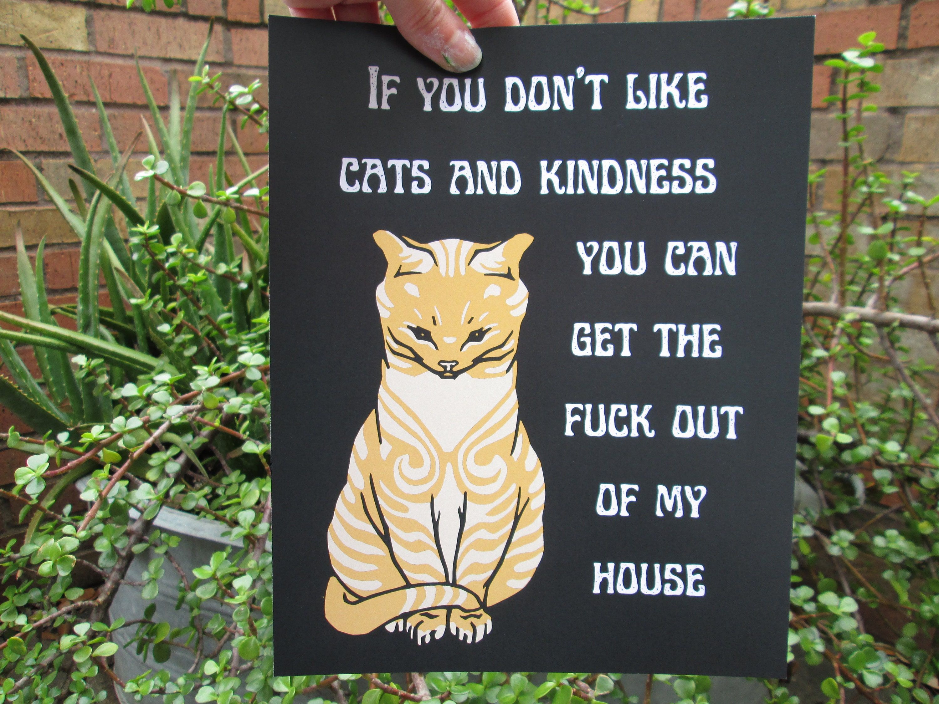 Welcome to Kindness For Cats Inc