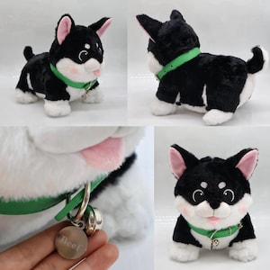 Puede incluir: Un perro de peluche Shiba Inu negro y blanco con el interior de las orejas rosa y una lengua rosa. El perro lleva un collar verde con una etiqueta plateada que dice "Beef". El peluche tiene patas blancas y una cola esponjosa.