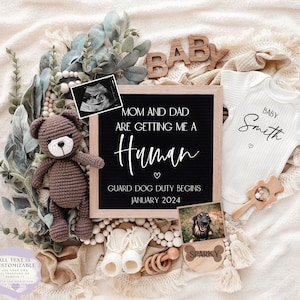 Pet Digital Pregnancy Announcement Baby Announcement Editable Template Girl Gender Reveal Boy Rainbow baby Instagram Dog getting human