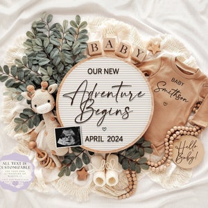 Digital Pregnancy Announcement, Gender Neutral Baby Announcement, Downloadable Editable Template, Social Media Reveal, New Adventure