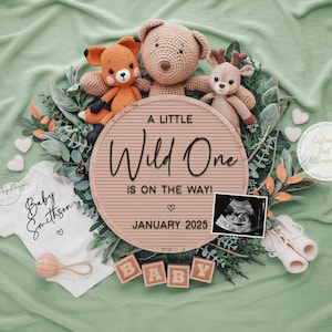 Pregnancy Announcement Digital, Woodland Baby Announcement, Boho Wild One, Social Media Reveal, Customizable Template, Instant Download