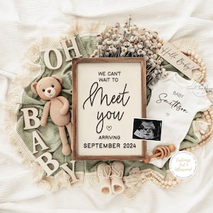 Neutral Pregnancy Announcement, Baby Announcement, Spring Pregnancy Reveal Ideas, Instant Download, Green, Teddy Bear, Instagram, Meet You