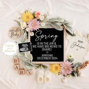 Spring Digital Pregnancy Announcement\ Baby Announcement \ Editable Template\ Social Media \ Spring is in the air