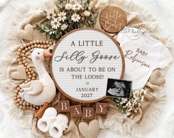 Silly Goose Pregnancy Announcement, Editable Baby Reveal, Template for Social Media (Digital Download)
