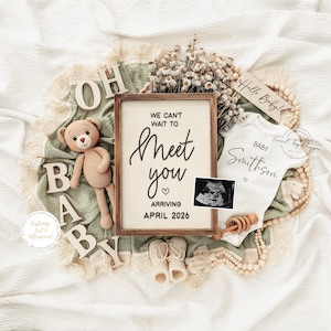 Neutral Teddy Bear Pregnancy Announcement, Spring Reveal (Digital Download)