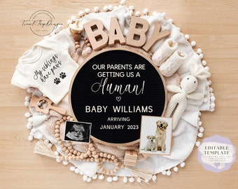 May include: A black letter board with the text "Our parents are getting us a human!" and "Baby Williams arriving January 2023". The board is surrounded by a white blanket with white pom-poms, a white onesie with the text "My siblings have paws", a wooden toy, a wooden bead garland, a baby sock, a stuffed bunny, a baby ultrasound image, and a photo of two golden retriever dogs.