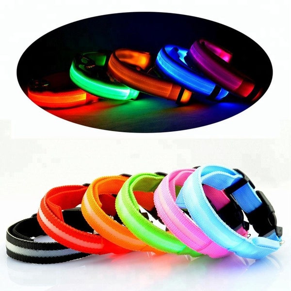 Collier lumineux - chiens - 7 couleurs - forte luminosité