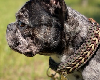 Dog collar | Dog leash | Tauleine collar set | Handmade from paracord | NatureColour