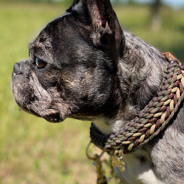 Hondenhalsband | Hondenriem | Tauleine halsbandset | Handgemaakt van paracord | NatuurKleur