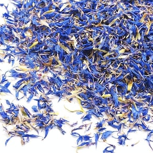 Peut inclure: Gros plan de pétales de bleuet séchés, bleus vifs, parsemés sur une surface blanche. Les pétales présentent des nuances de jaune et de brun, créant un aspect texturé et naturel. Idéal pour l'artisanat ou la cuisine.