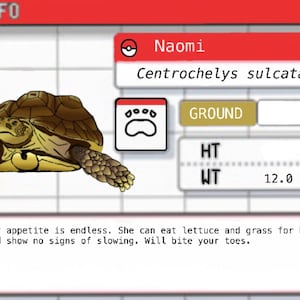 Autocollant d’entrée Pokédex personnalisé