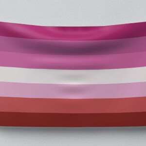 May include: A lesbian pride flag with six horizontal stripes in the colors pink, light pink, white, light pink, red, and dark red.